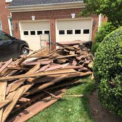cyndies's Chat & Dating Profile